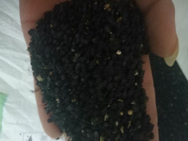 791雪韭王散装