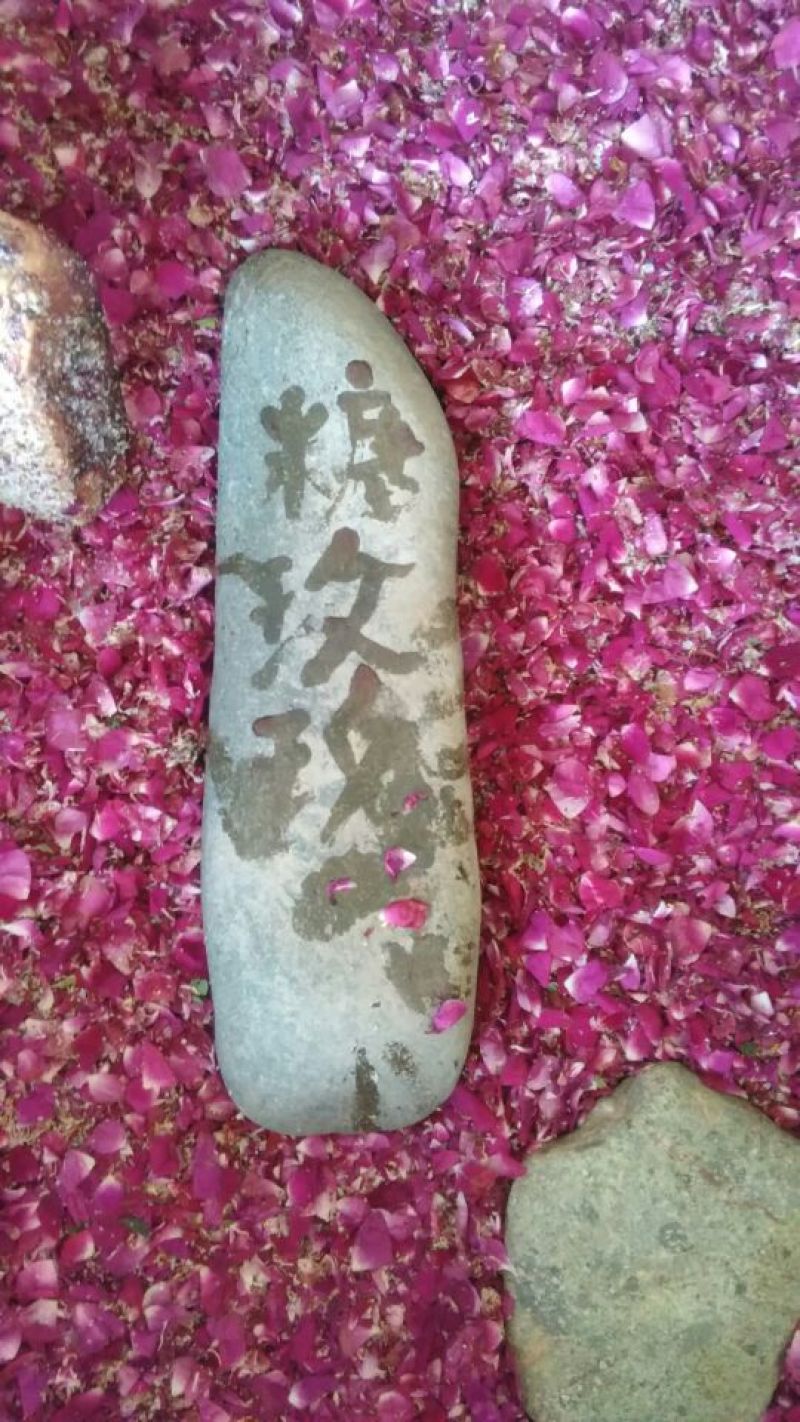 玫瑰酱