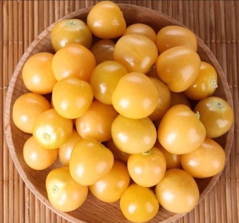 灯笼果