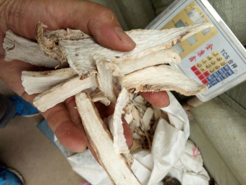 天花粉河南野生支持线上保障交易可视频看货