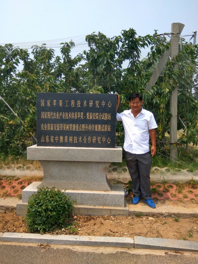 【热卖】露利苹果树苗苹果苗指导种植技术手把手教给你技术