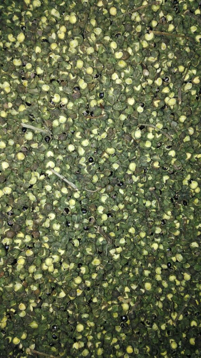 青花椒一级干