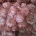 大蒜5.5~6cm干蒜