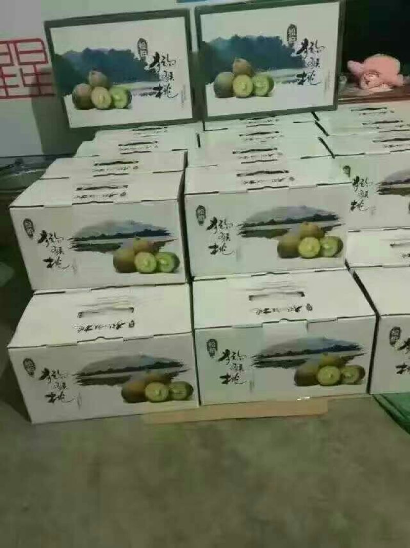 米良1号猕猴桃