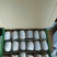 米良1号猕猴桃
