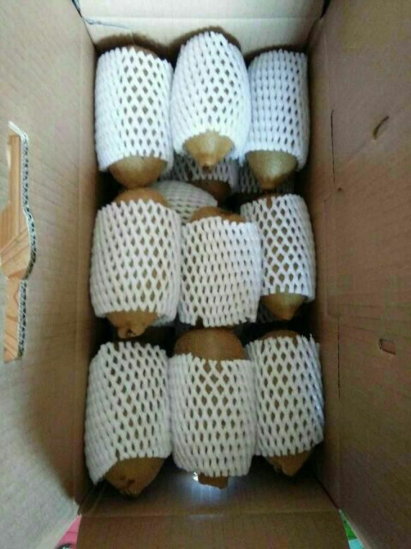 米良1号猕猴桃