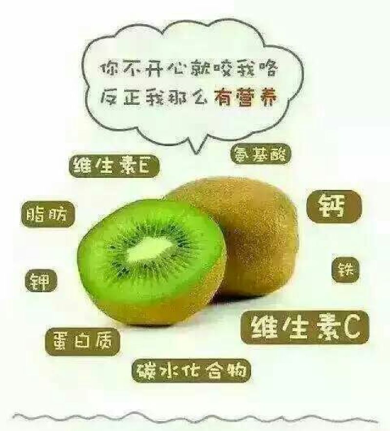 米良1号猕猴桃