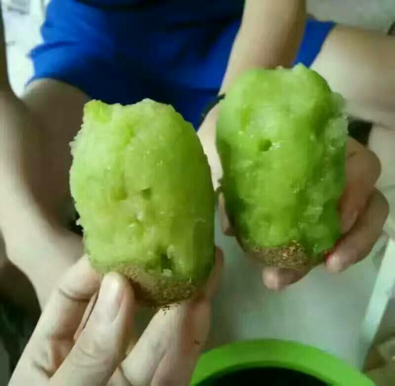 米良1号猕猴桃