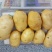 土豆通货4两以上