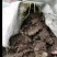 两广干鸡粪禽畜粪鸡粪15kg(袋装)