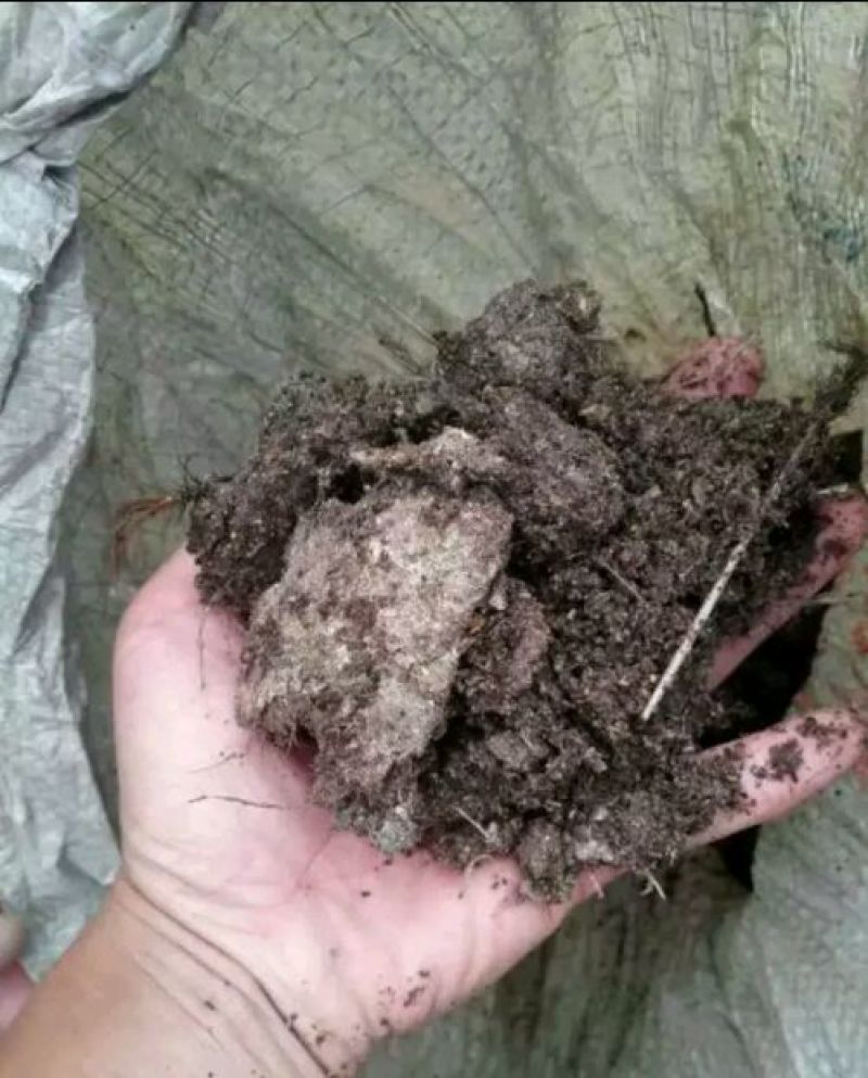 两广干鸡粪禽畜粪鸡粪15kg(袋装)