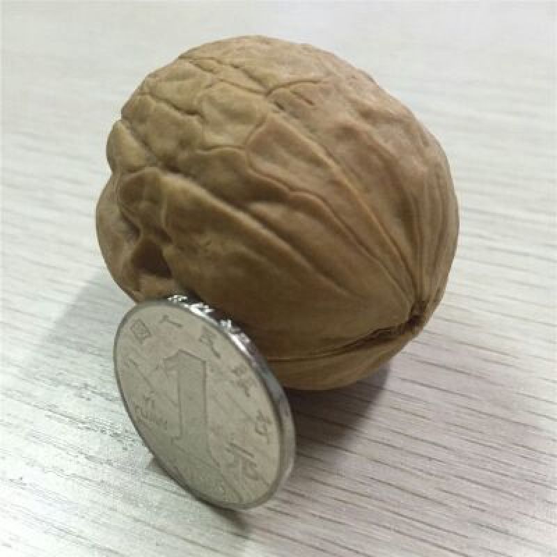 山核桃核桃