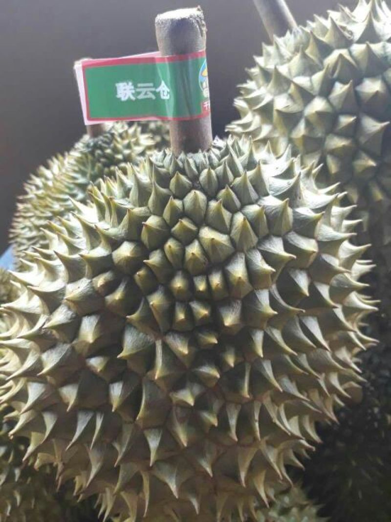 榴莲5~8斤