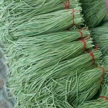 豆角又细又长大量上市