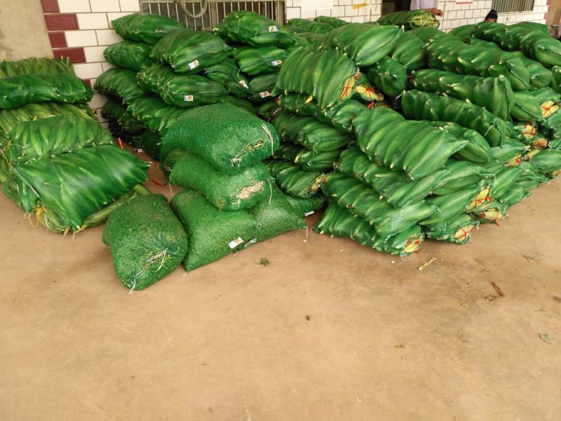 太阳花甜玉米水果玉米1斤起步支持视频看货