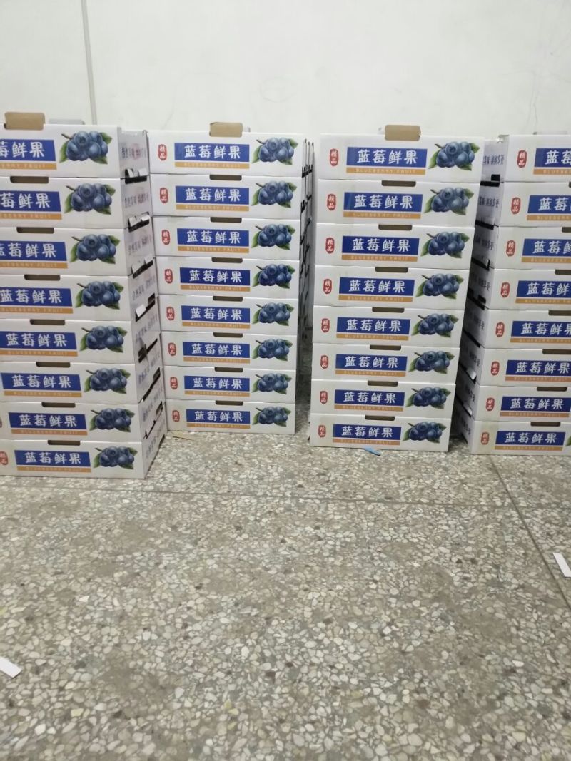 北陆蓝莓鲜果12~14mm以上