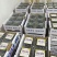 北陆蓝莓鲜果12~14mm以上