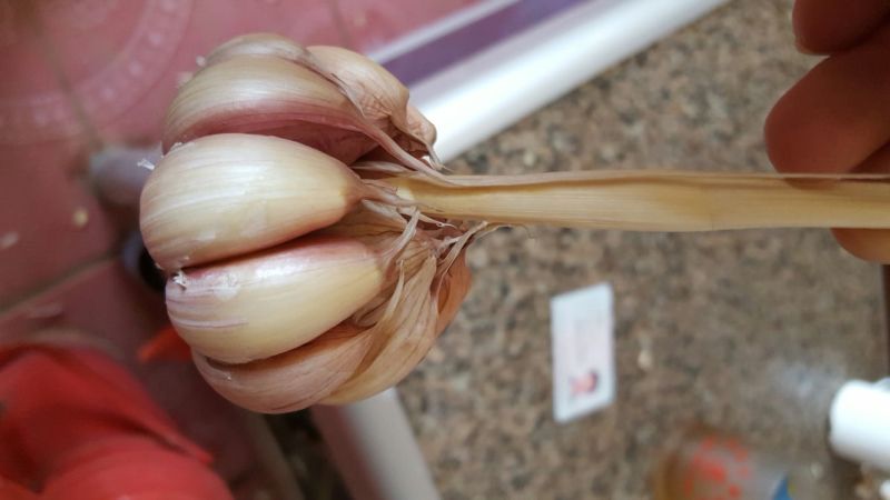 紫皮蒜混级统货干蒜