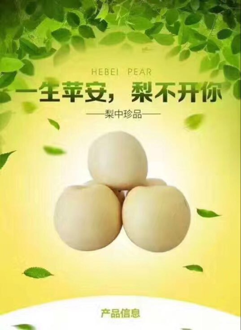 皇冠梨