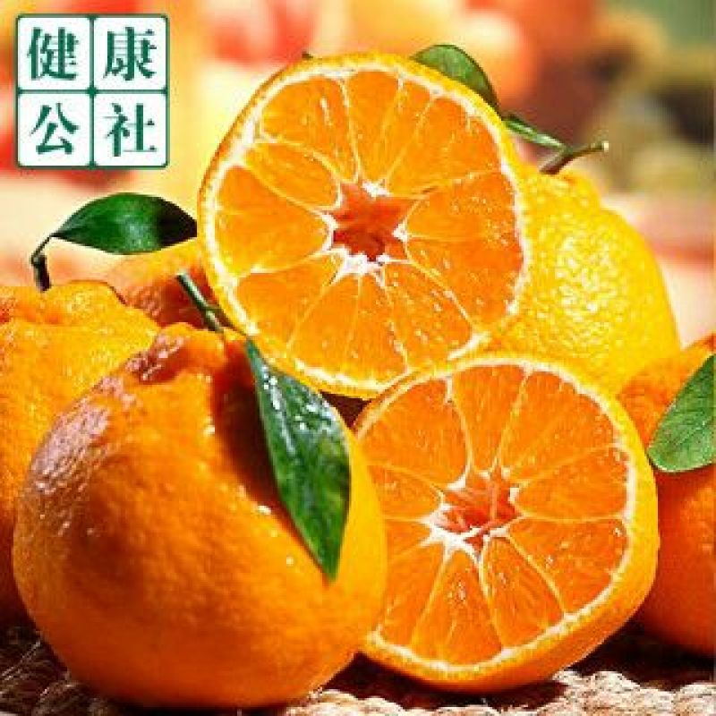 春见柑桔7.5~8cm