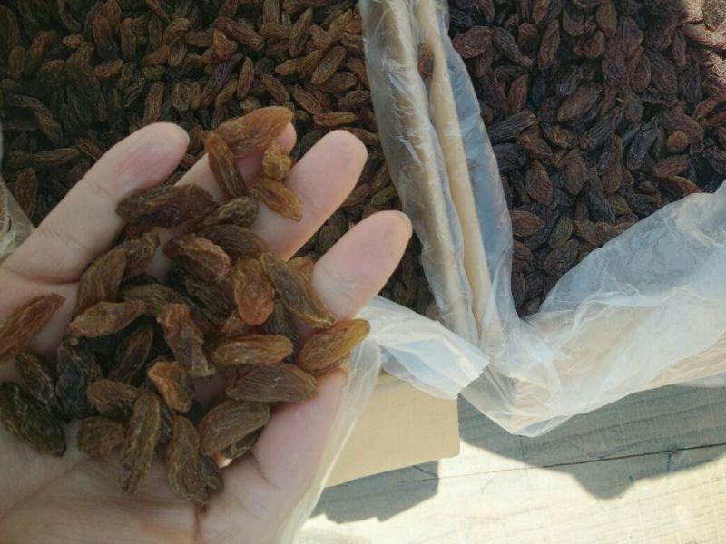 葡萄干价格不一样，请发图询