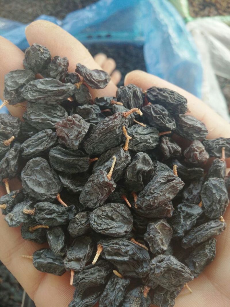 葡萄干价格不一样，请发图询