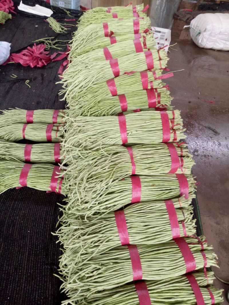 优质长豆角60厘米以上产地直销，保质保量