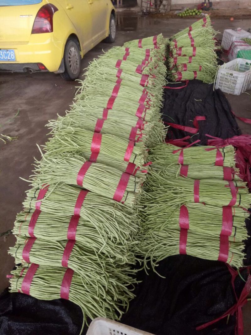 优质长豆角60厘米以上产地直销，保质保量