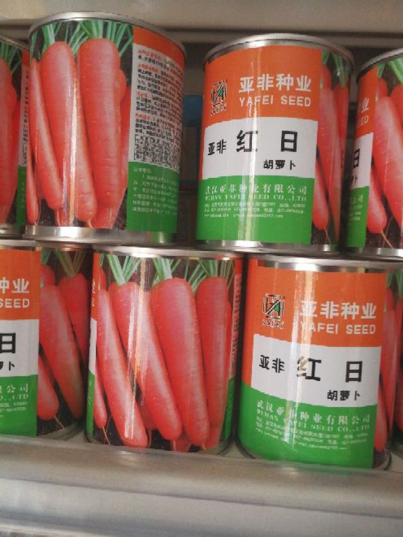 胡萝卜籽