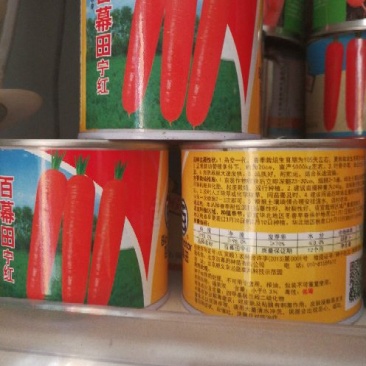 胡萝卜籽