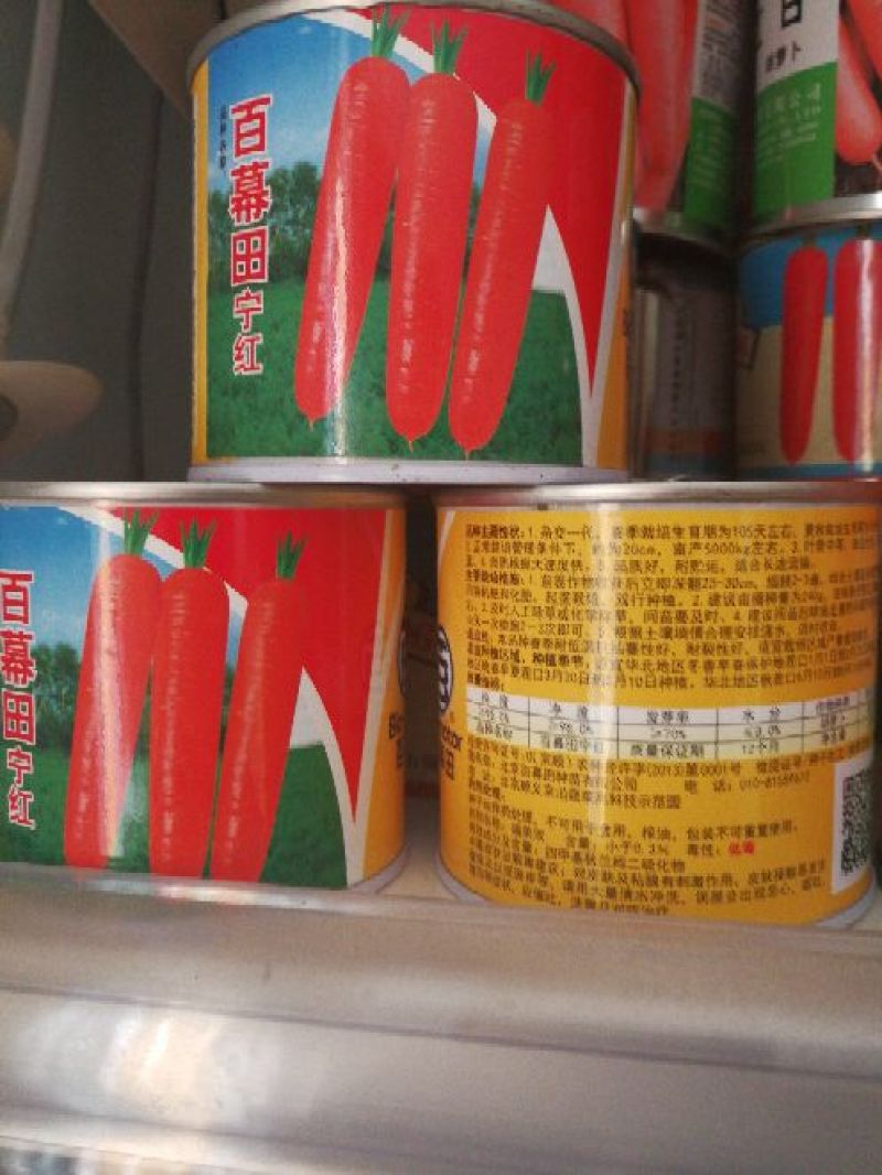 胡萝卜籽