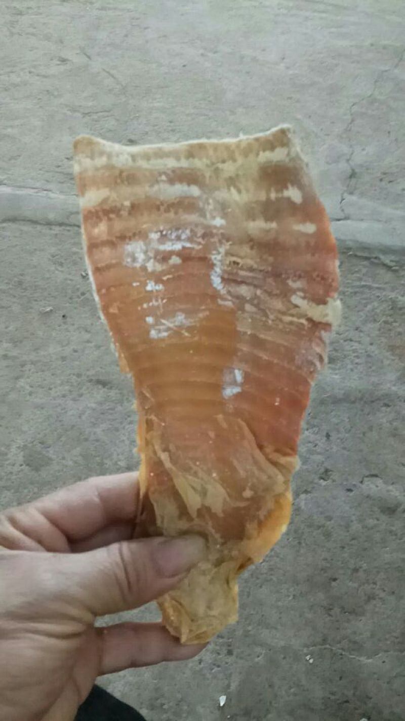 水煮笋干淡笋干
