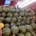 冠龙西瓜10斤打底8成熟1茬