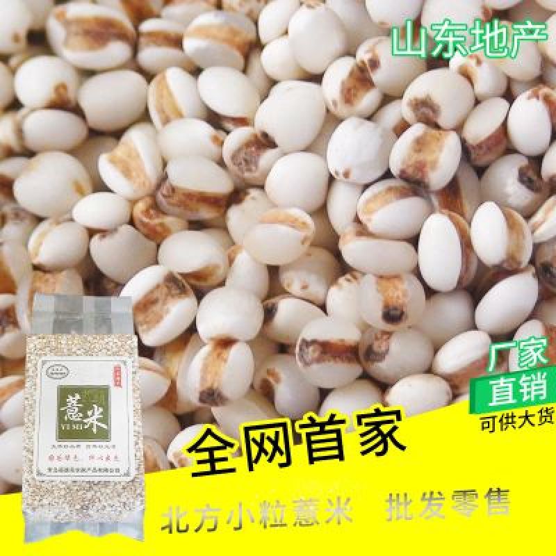 薏米白薏米红薏米