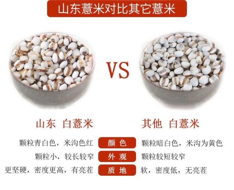 薏米白薏米红薏米