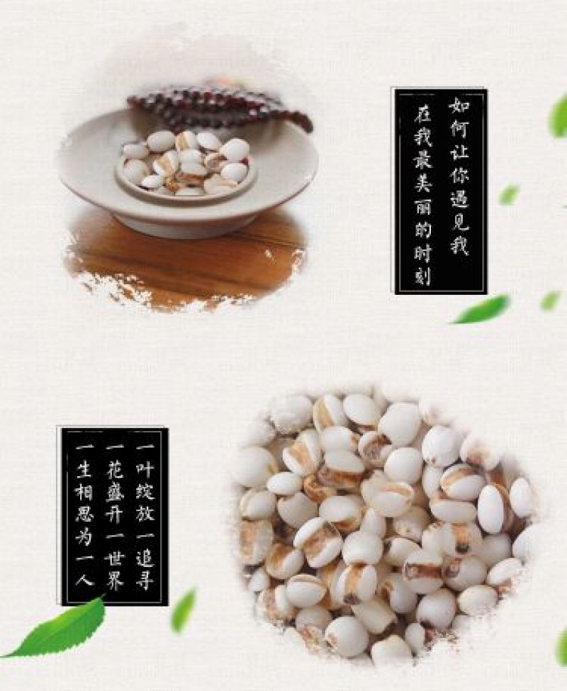 薏米白薏米红薏米