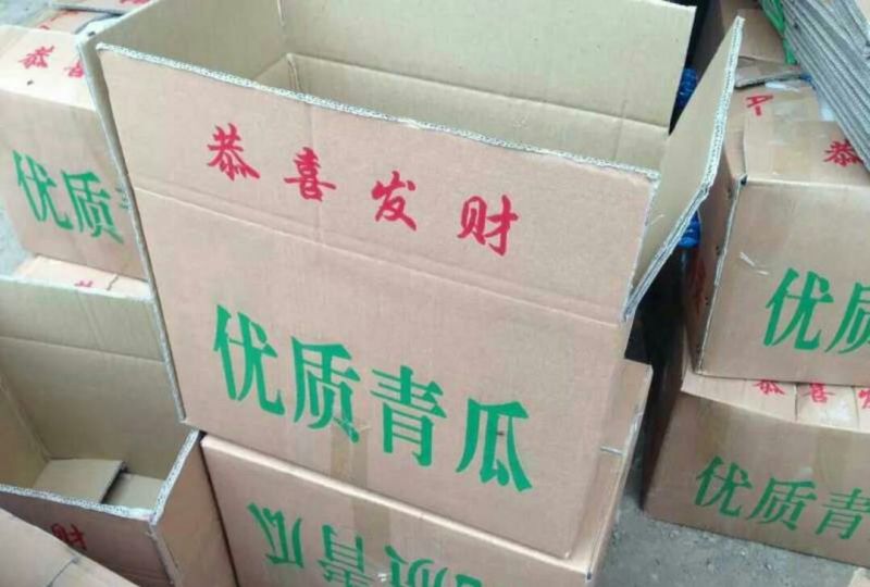 精品黄瓜，货量充足，可供大型市场，超市电商，