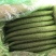 精品黄瓜，货量充足，可供大型市场，超市电商，