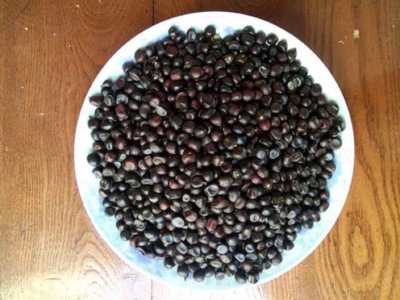 油用牡丹籽