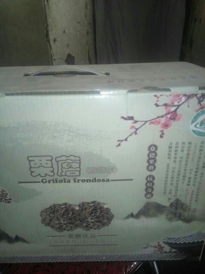 干栗蘑