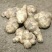 菊芋1.5~2两