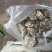 干巴菌二级
