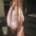 驴肉冻货