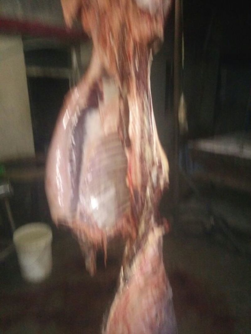 驴肉冻货