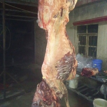 驴肉冻货