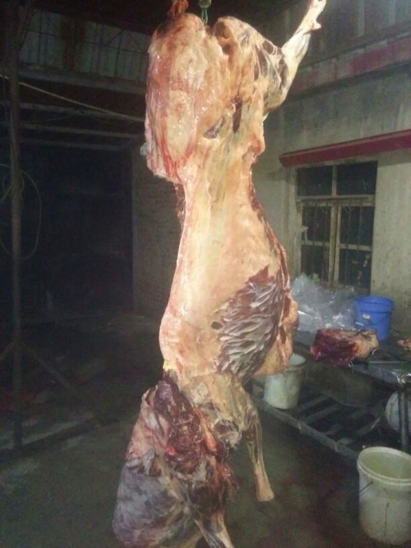 驴肉冻货