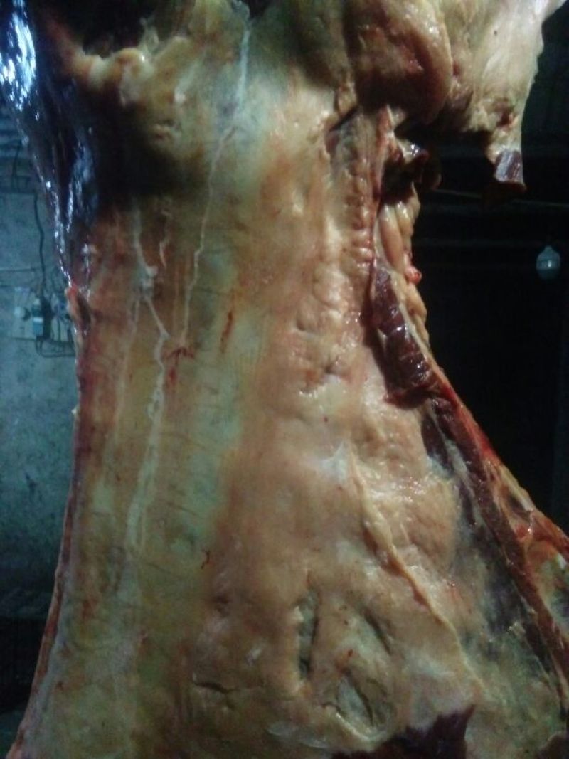 驴肉冻货
