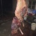 驴肉冻货