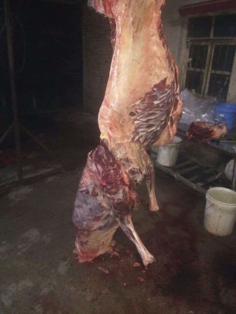 驴肉冻货