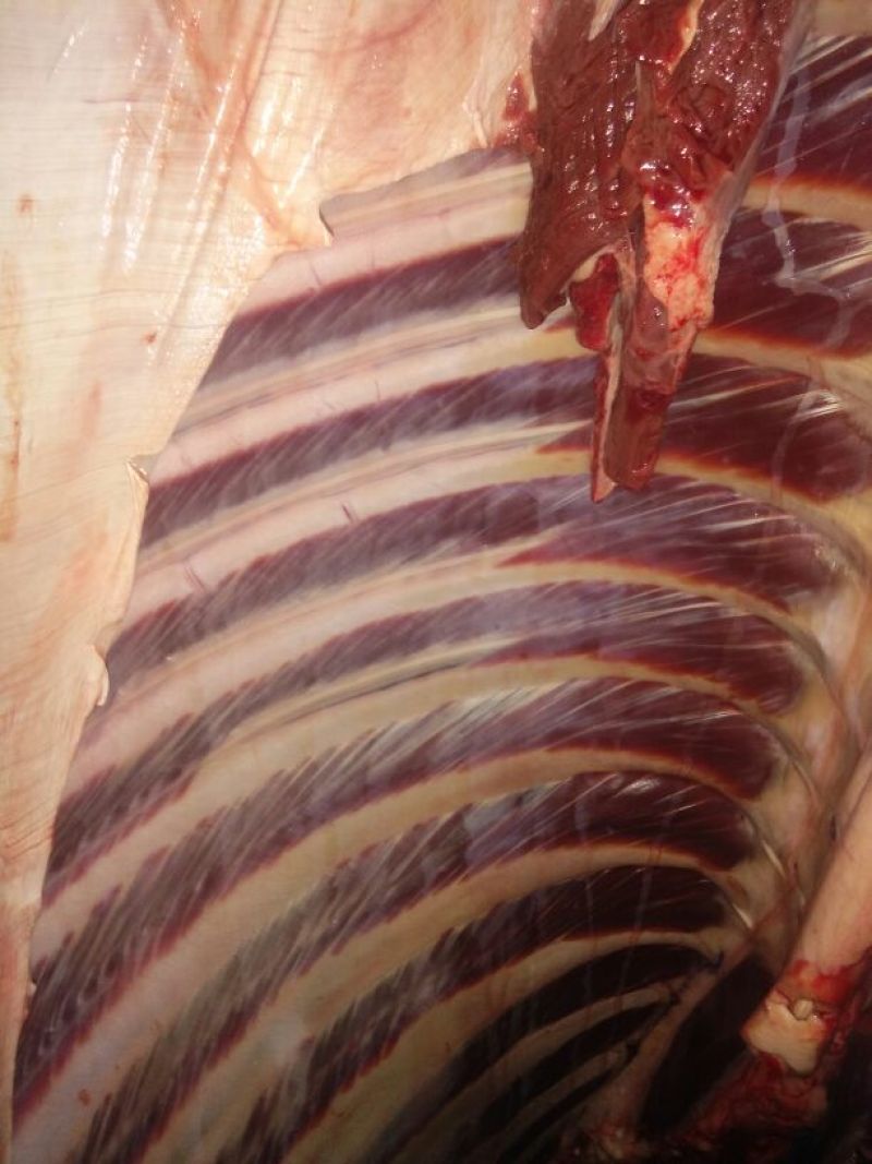 驴肉冻货
